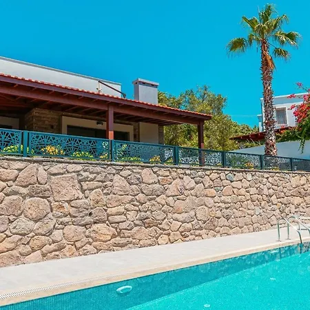 Excellent 3br With Private Pool Gümüşlük Villa